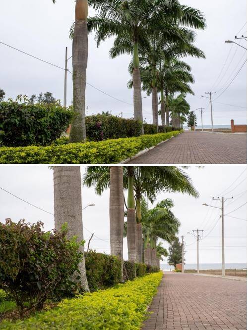 Venta de Terrenos en Ventura Resort en Olón, Ecuador.